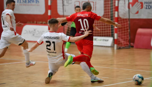/uploads/assets/4624/widzew red dragons.png